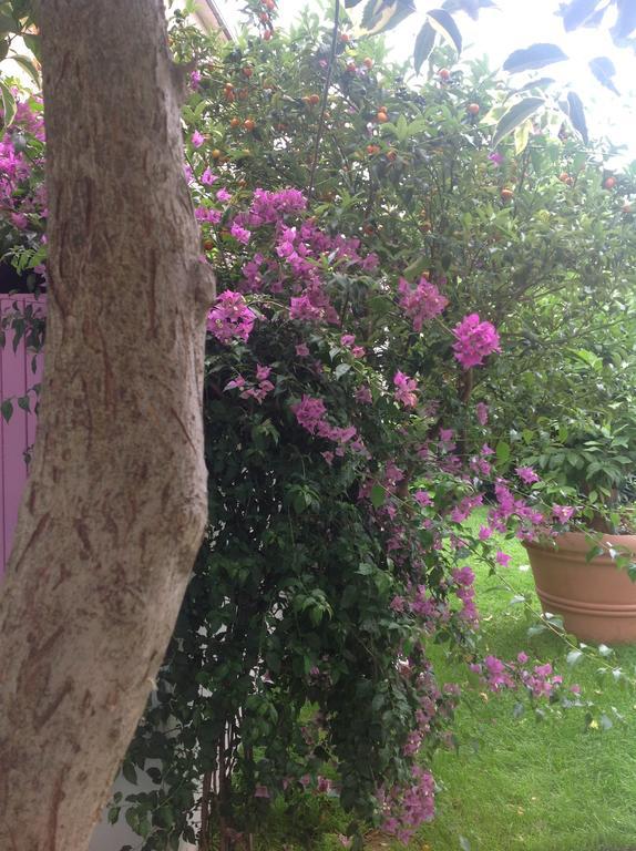 A Casa Di Lolu Bed and Breakfast Grottammare Exteriör bild