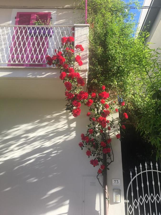 A Casa Di Lolu Bed and Breakfast Grottammare Exteriör bild